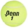 Penn Championship Tennis Balls 12 pack