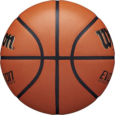 WILSON Evolution Indoor Game Basketball